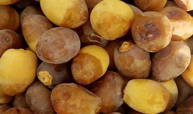 خرما برحی اهواز؛ مشکی قهوه ای یکدست بافت نرم حاوی Vitamin Calories
