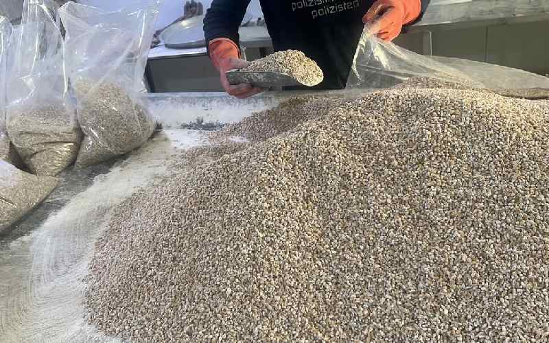 بذر قارچ دکمه ای؛ سفید قهوه ای کرمی بدون خرابی کپک زدگی