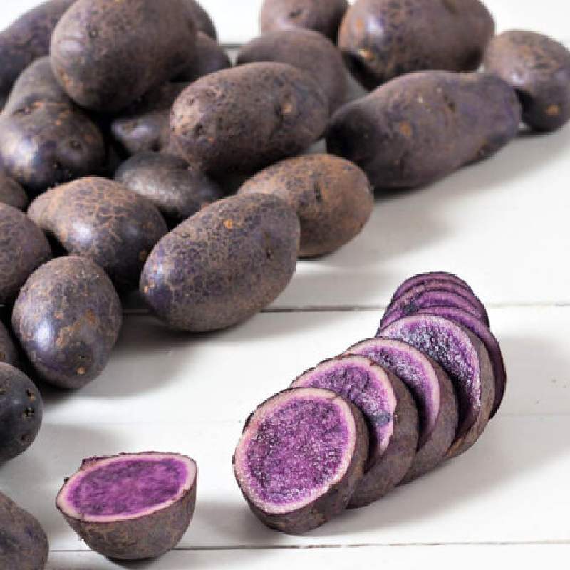 بذر سیب زمینی بنفش (دکمه) درمان دیابت حاوی آنتی اکسیدان