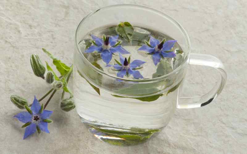 شربت عرق گل گاوزبان؛ طبیعی ارگانیک رفع بی خوابی حاوی ویتامین A C