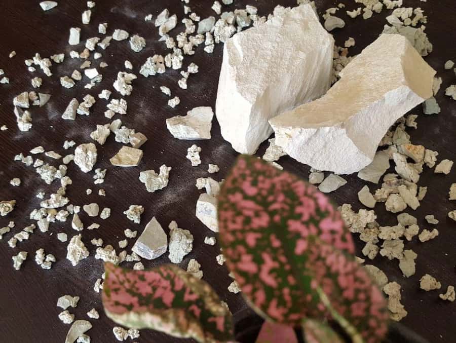 بنتونیت فردوس؛ سدیم دار کلسیم دار ارگانوفیل 2 رنگ کرم خاکستری