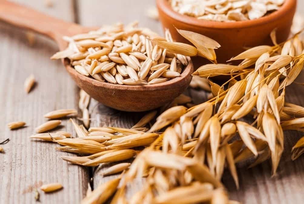 بذر جو دوسر؛ پوسته بیشتر (اصلاح کننده خاک) فصل کاشت اردیبهشت