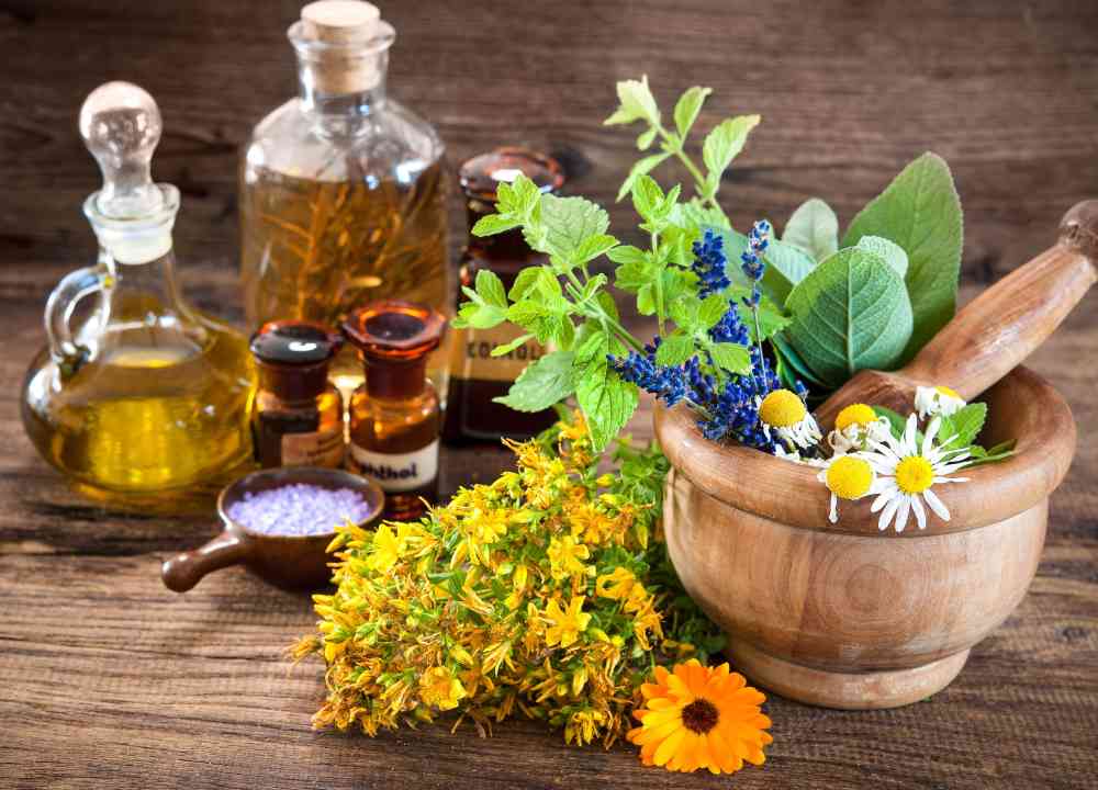 گیاه دارویی ضد یرقان؛ شاه تره سیاه دانه کافشه درمان بیماری زردی