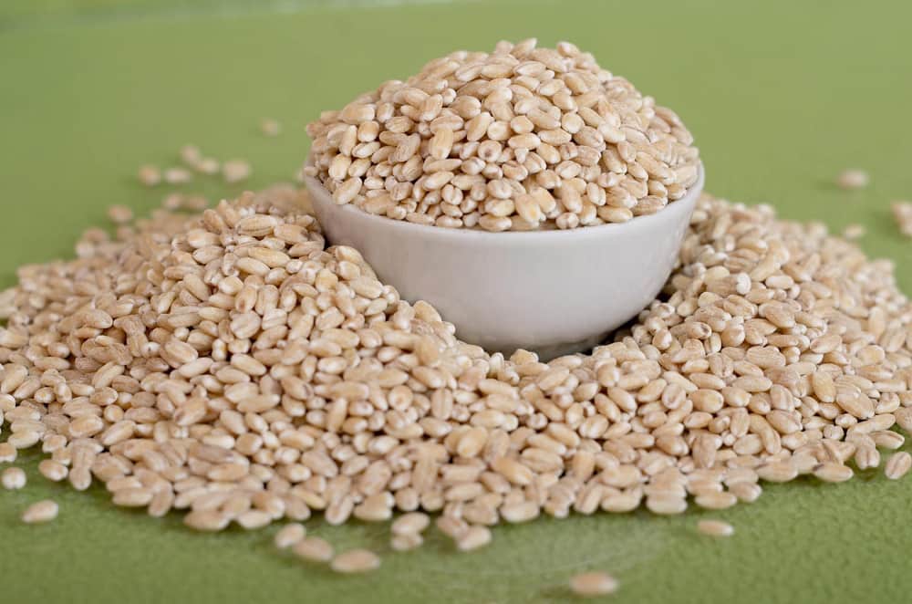 بذر جو 1401؛ ساقه ریز کاشت دستی ماشینی عمق (5 6) سانتی متر