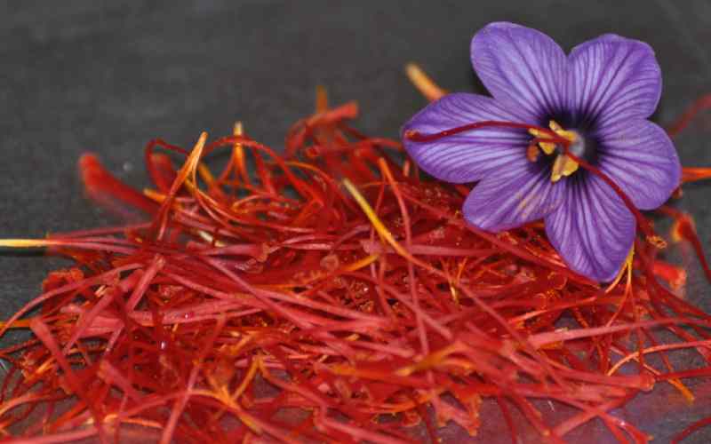 زعفران 5 مثقالی سحرخیز؛ رفع لک پوستی کبد چرب ماندگاری 2 ساله