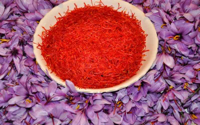 زعفران سحرخیز یک کیلو؛ درمان کاهش بینایی دمنوش Food