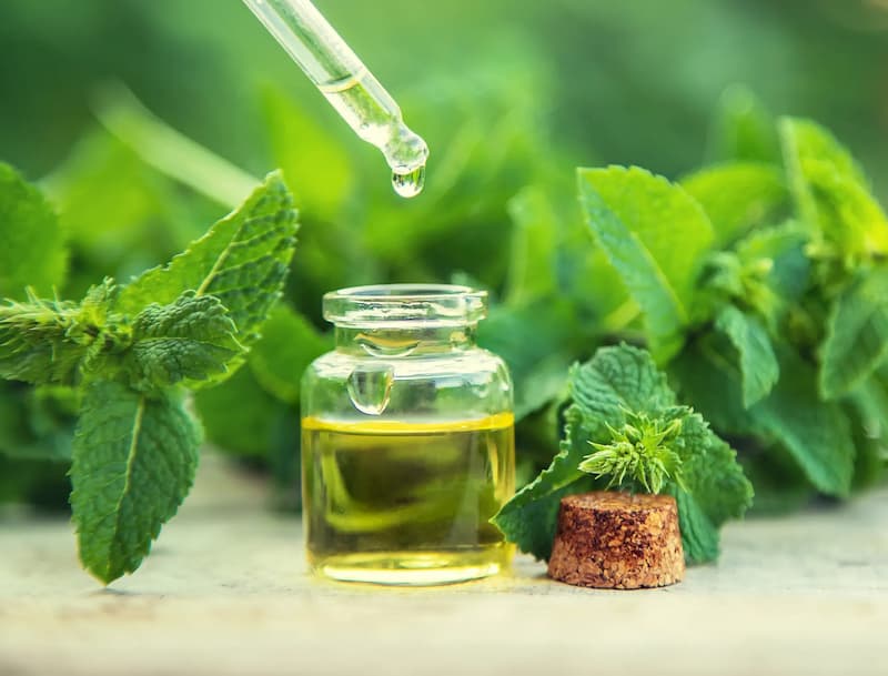 عرق نعنا خالص؛ طعم تند درمان بیماری ریه ساخت Iran