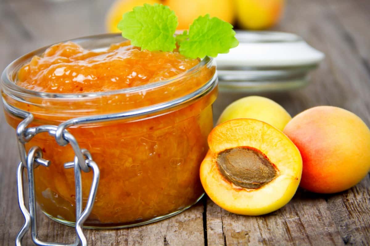 مربا قیسی؛ خانگی صنعتی 2 مدل زرد سیاه منبع ویتامین A C