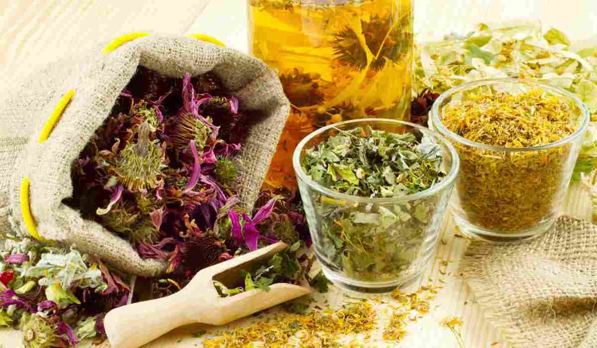 گیاهان دارویی برای پروستات؛ جوز برزیلی گزنه کدوی طبی زنجبیل