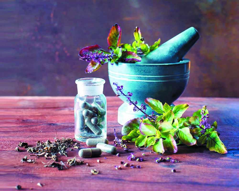 گیاهان دارویی برای لاغری؛ ارگانیک زنجبیل زیره جینسیگ افزایش متابولیسم