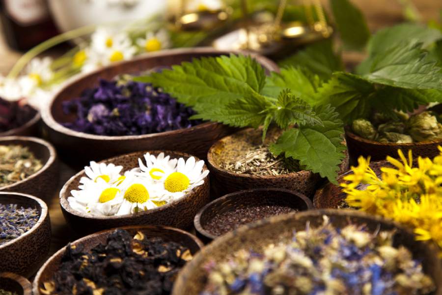 گیاهان دارویی پاکستان؛ اسطوخودوس رازیانه زیره گشنیز حاوی potassium