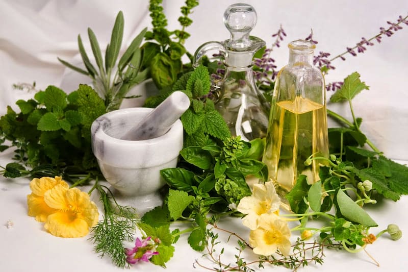 گیاهان دارویی ضد صفرا؛ دمنوش زنیان ترنجبین بومادران 2 نوع قرص دمنوش