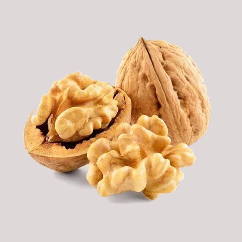 گردو و کلیه؛ مغز سفید تصفیه خون حاوی مواد معدنی Omega 3