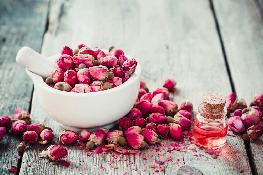 گل محمدی برای لاغری؛ مناسب دمنوش چای کاهش خستگی درد وزن بدن