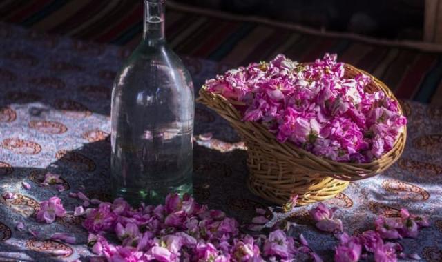 گلاب ناب میمند فارس؛ طعم تلخ نشاط آور حاوی ویتامین B D E