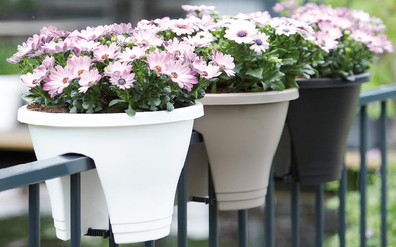 گلدان پلاستیکی خورجینی؛ محکم عمر طولانی متنوع Khorjini plastic pot