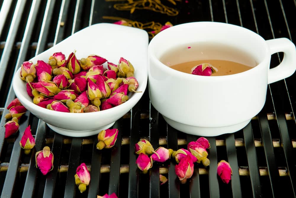 گل محمدی برای معده؛ قرمز صورتی مناسب گلاب گیری درمان سرفه گلودرد