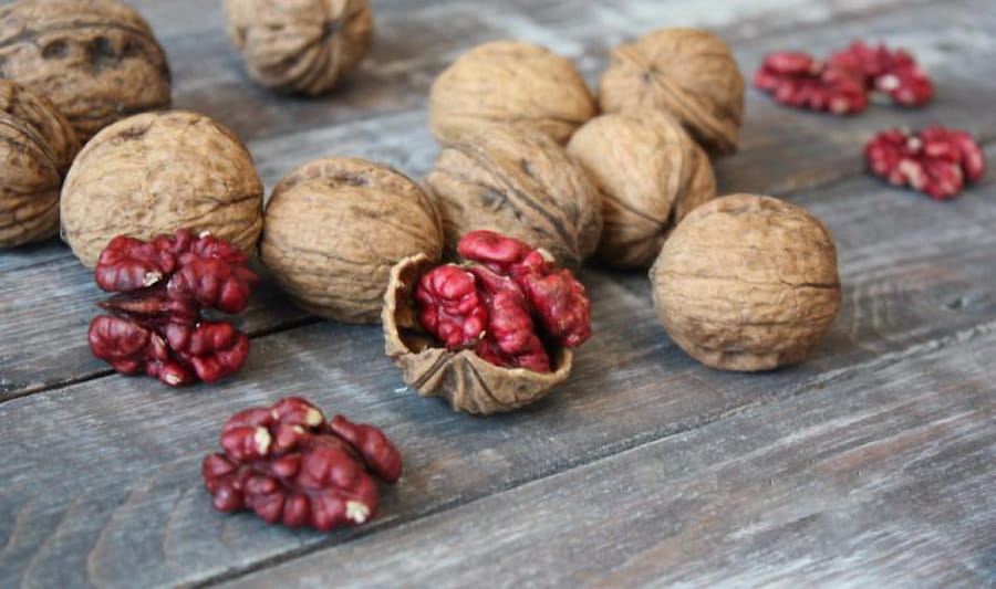 گردو قرمز رنگ؛ بسته بندی سرخ پیوندی سرشار آنتی اکسیدان walnut