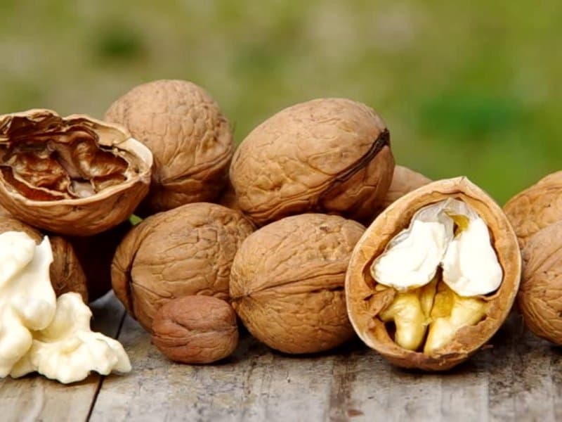 گردو و چربی سوزی؛ پوست نازک کاهش کلسترل روی آهن بهداشتی