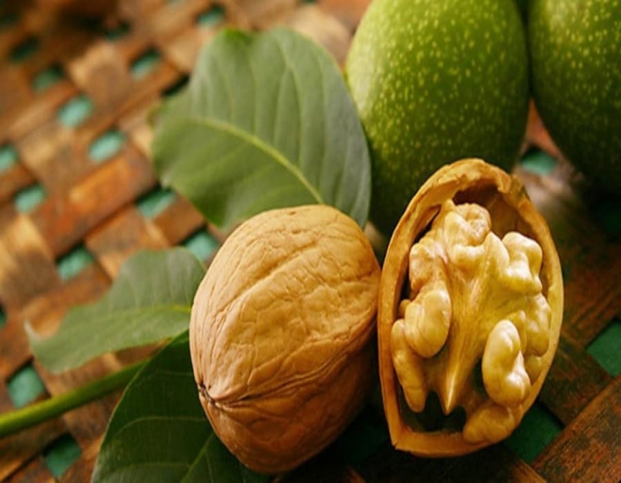 گردو جنگلی؛ پوست کاغذی خوش طعم ارگانیک طبع (گرم خشک)