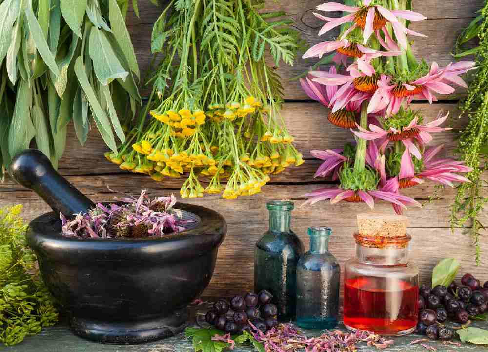 گیاهان دارویی چربی سوز؛ دارچین نعناع چای سبز مناسب کاهش وزن