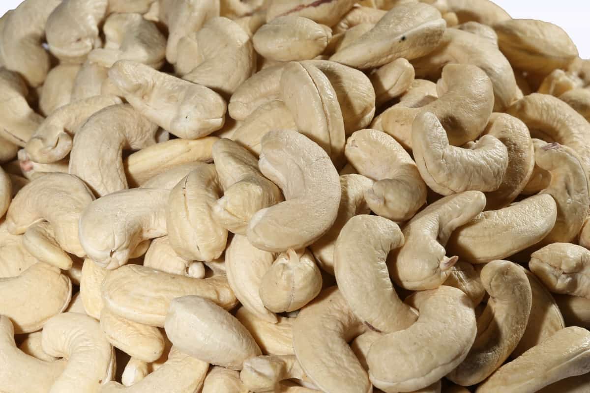 بادام هندی برای کودکان (کاشو) خام شیرین طبع گرم حاوی B1 B2 B3