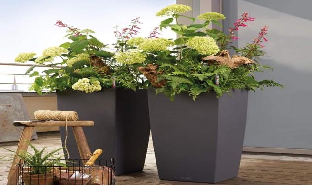 گلدان پلاستیکی دراز؛ ساده طرح دار سبک مناسب گیاهان ریشه بلند