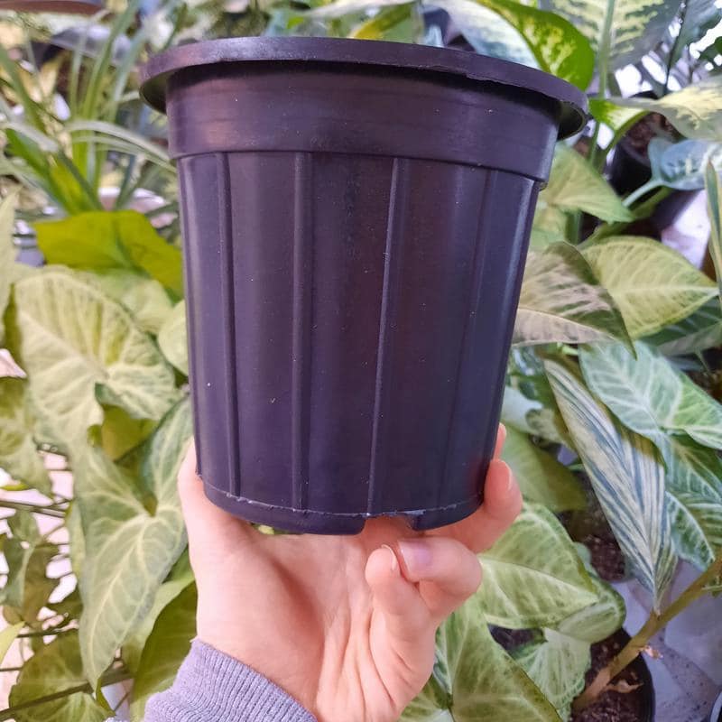 گلدان پلاستیکی سطل 3؛ ساده فانتزی وزن سبک جنس PE