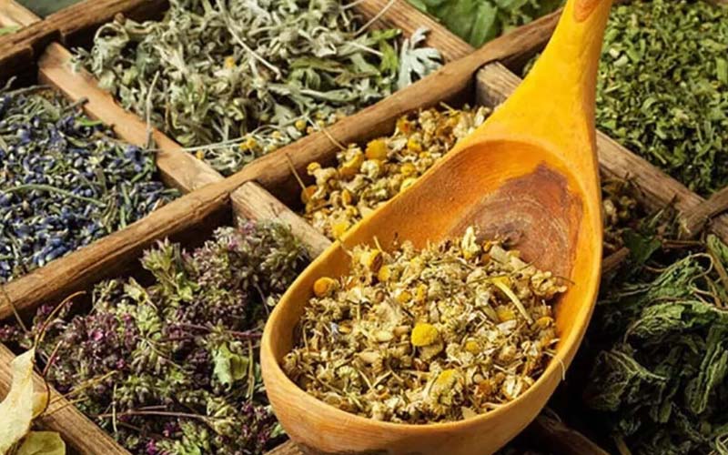 گیاهان دارویی جهرم؛ بومادران شاطره گل ختمی عطر طعم تازه