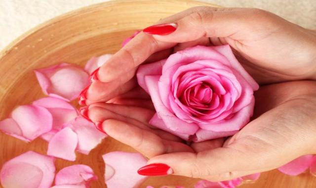 گلاب برای زایمان طبیعی؛ سبک سنگین معمولی حاوی سیترنلول گرانتول Kashan