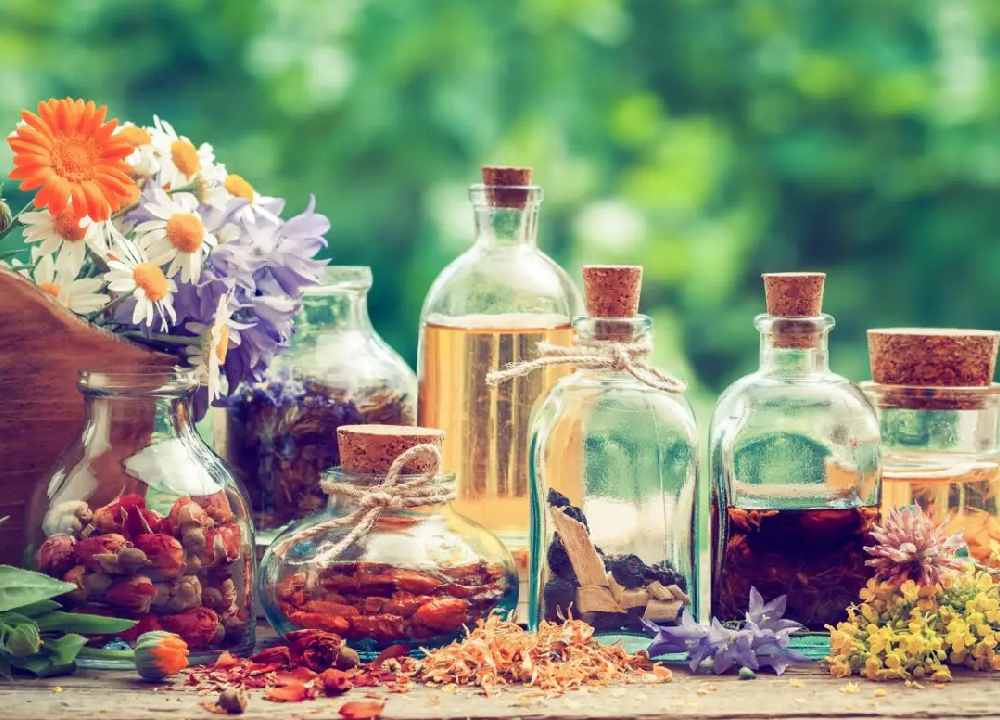 گیاهان دارویی شهرکرد؛ ضد حساسیت 3 نوع (شیرین بیان شاتره کاجیره)