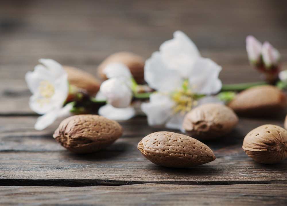 بادام مامایی دیرگل؛ ارگانیک طعم شیرین رنگ طلایی ارزش غذایی بالا