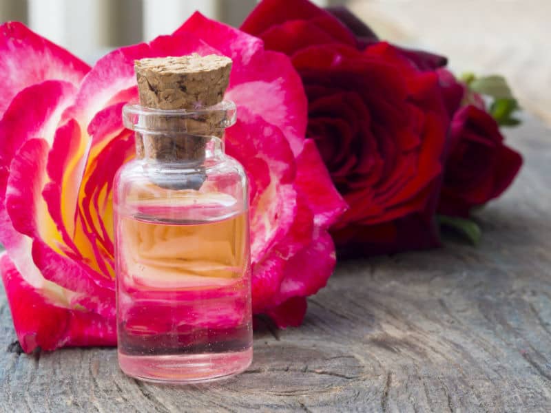 گلاب برای اضطراب؛ ارگانیک سبک سنگین 2 روش سنتی مکانیزه