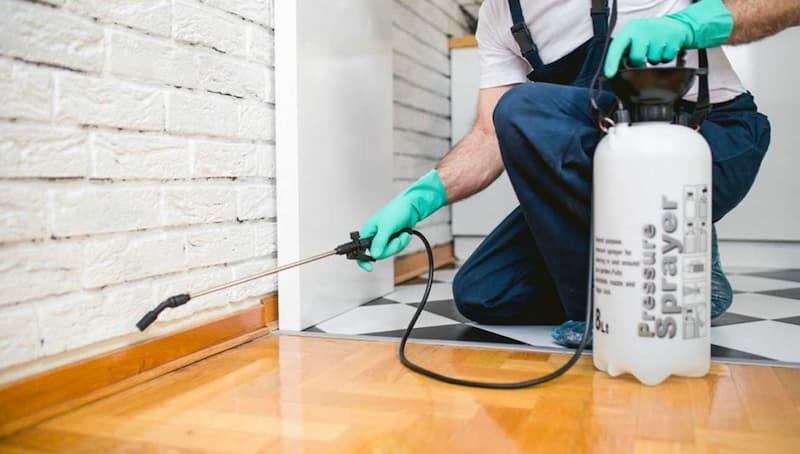 حشره کش قوی خانگی؛ پشه مورچه سوسک 2 نوع اسپری مایع گرانولی