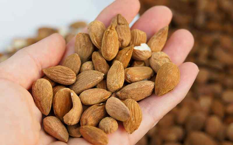 بادام کوهی برای لاغری؛ رژیم تناسب کاهش وزن ویتامین B12