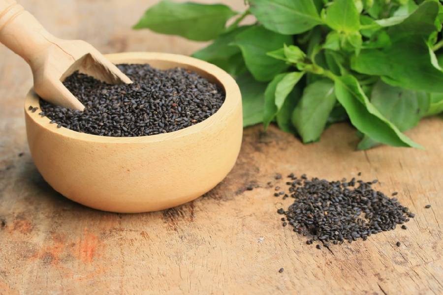 گیاه دارویی مروک (برویز) پشه پران دانه ریز رفع سرفه گلودرد