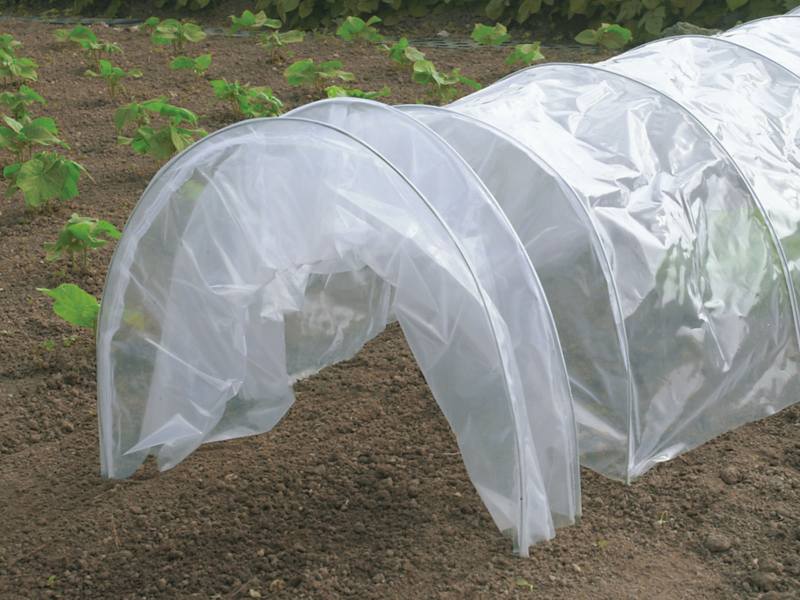 نایلون گلخانه مازندران (پلاستیک) شفاف رنگی جنس پلی استر PVC