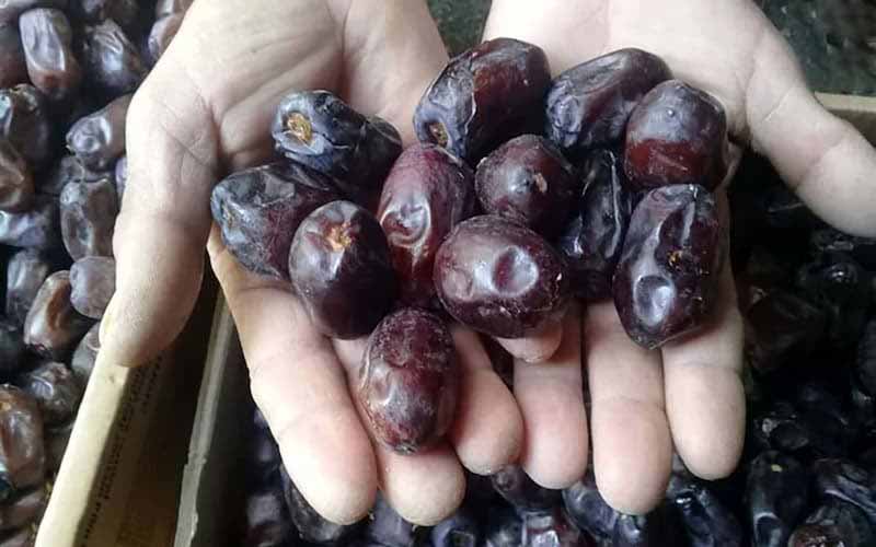 طبع خرمای شانی؛ دسر روغن حیوانی ( شیرین مغذی ) سفت