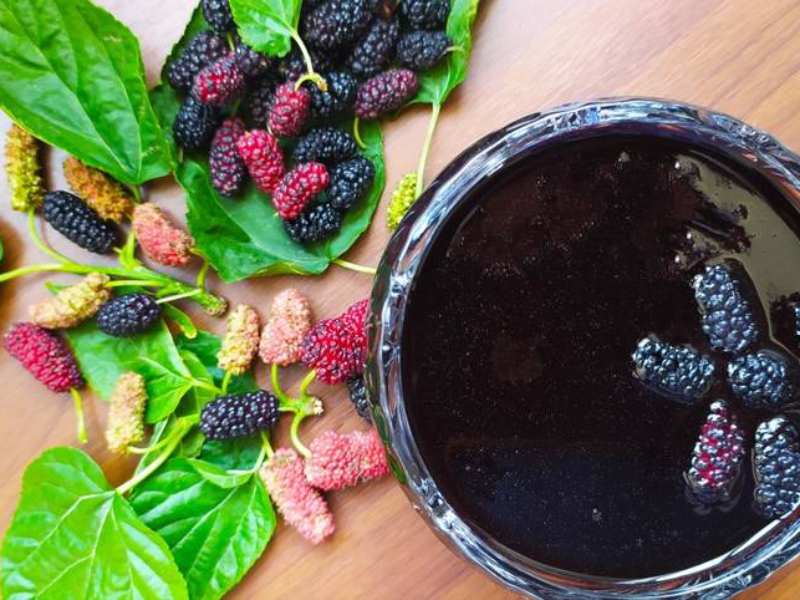 شیره توت؛ کمی روشن 2 طبع گرم تر حاوی آهن Fiber