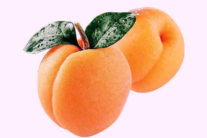 زردآلو در شیردهی (قیسی) سلطنتی انبه ای شکرپاره درشت آبدار