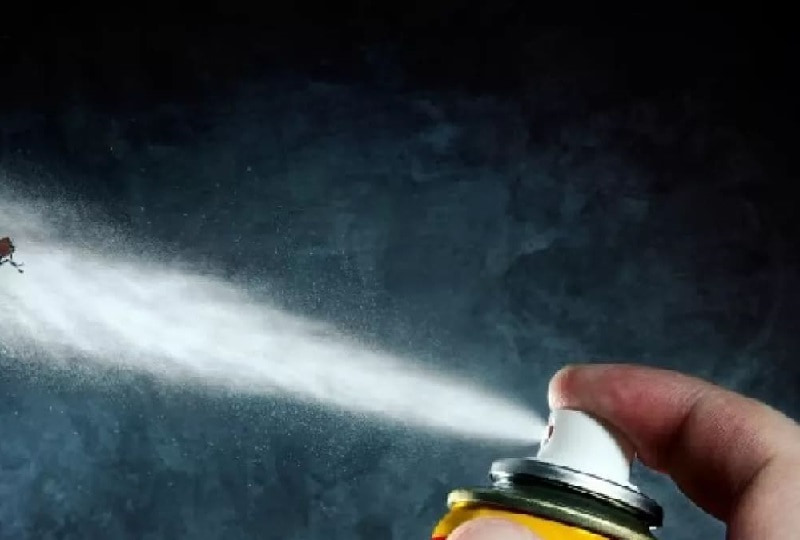 حشره کش ضد کک؛ پودری اسپری 2 نوع مایع جامد اثرگذاری سریع