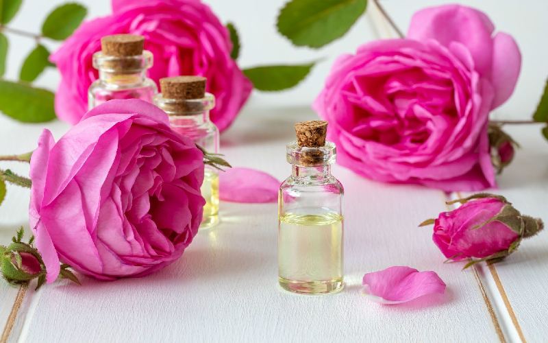 گلاب و پروستات؛ غلظت بالا آنتی بیوتیک قوی انواع (سبک سنگین دوآتیشه)