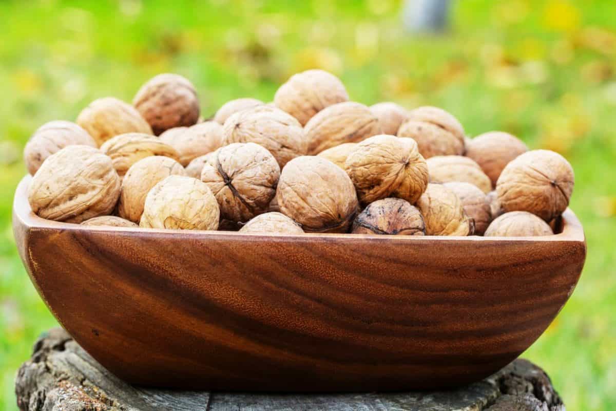 گردوی ریز؛ سبز قهوه ای 2 نوع تازه خشک ویتامین (A B)