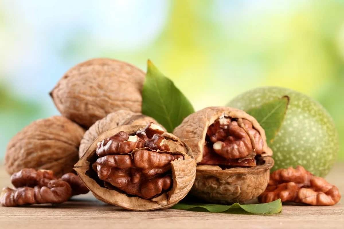 گردو عمده آذرشهر؛ پوست کاغذی گوشتی فسنجان حاوی magnesium