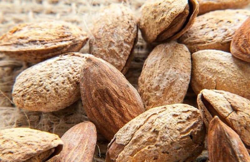 بادام برای گرفتگی صدا (آجیل) تلخ شیرین طبع گرم تر حاوی vitamin