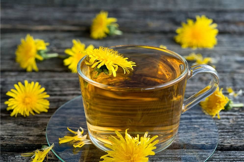 شربت گیاهی فراسیون؛ رفع نازایی پاکسازی بدن طبع گرم Mucilage