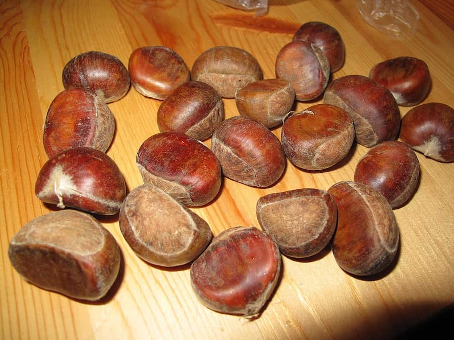 شاه بلوط ترکیه (فاگاسه) شیرین ملایم پهن سفید ویتامین C B6