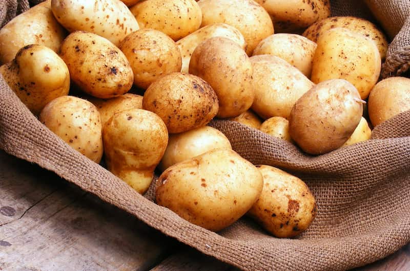 سیب زمینی تره بار؛ فاقد مواد شیمیایی حاوی کربوهیدرات Vitamin