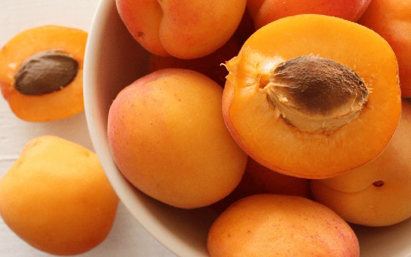 زردآلو برای سگ؛ چربی کلسترول خون پوکی استخوان DOG