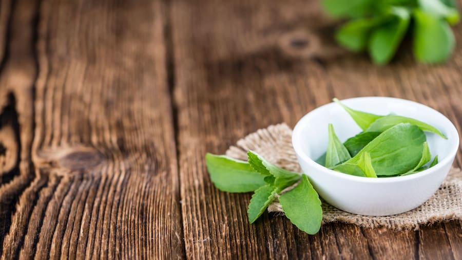 استویا برای کودکان؛ افزایش هوش کودکان بهبود سیری کاهش گرسنگی